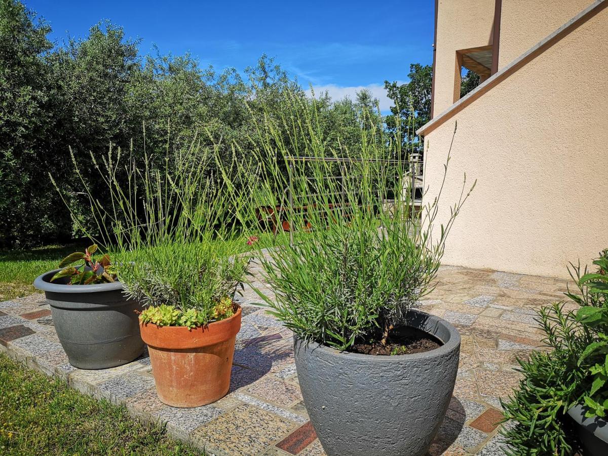 Apartament Lili Pula